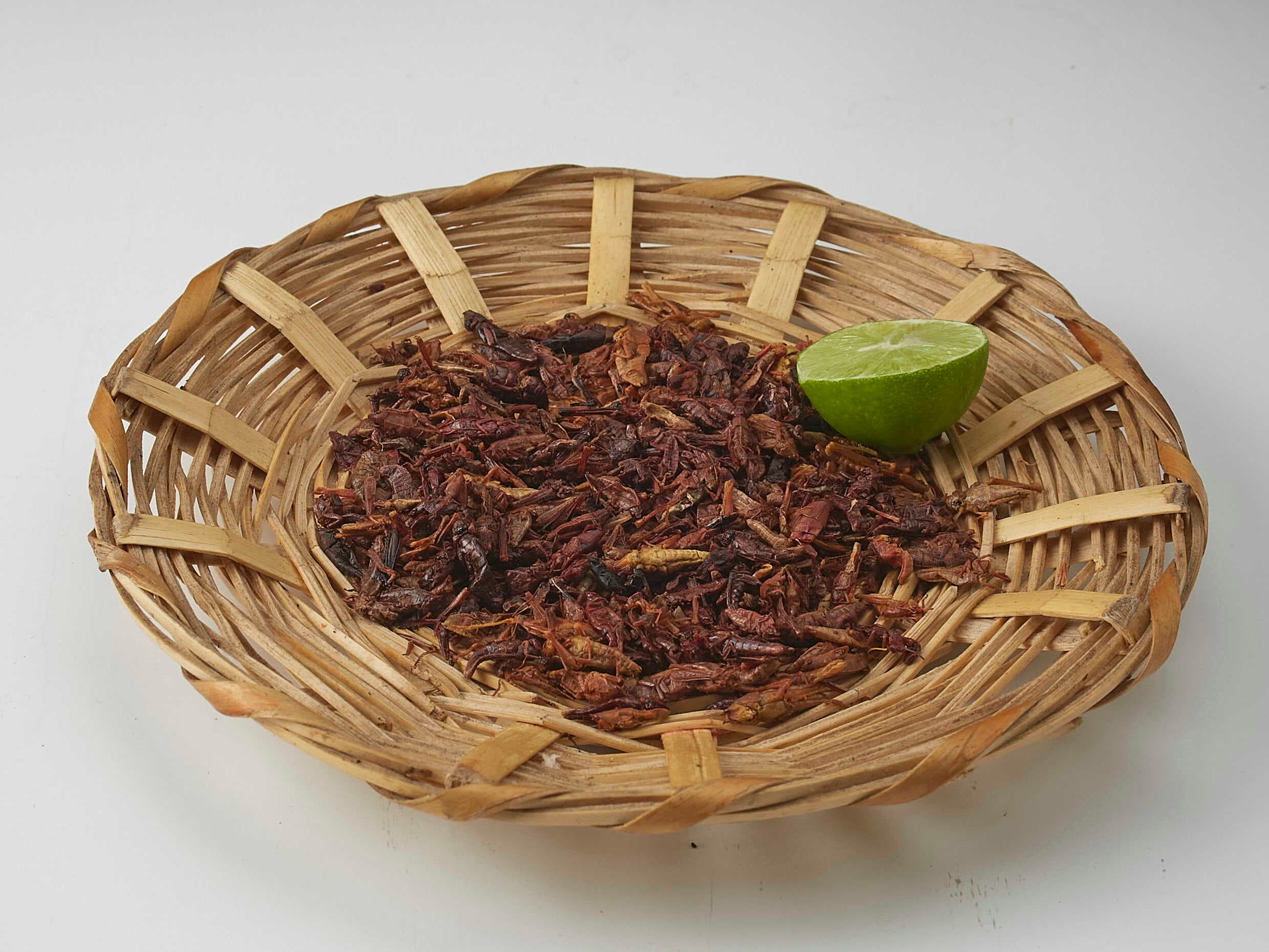Orden de Chapulines