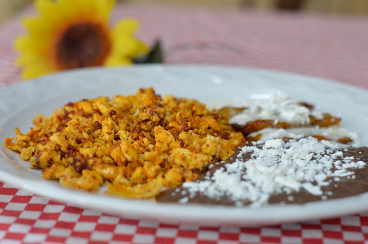 Combo Huevos a la Mexicana + Agua del Dia