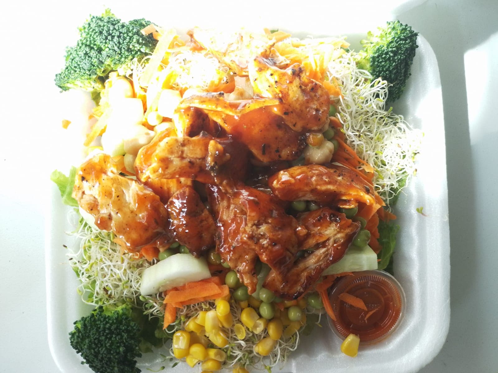 Burrito de Bistec