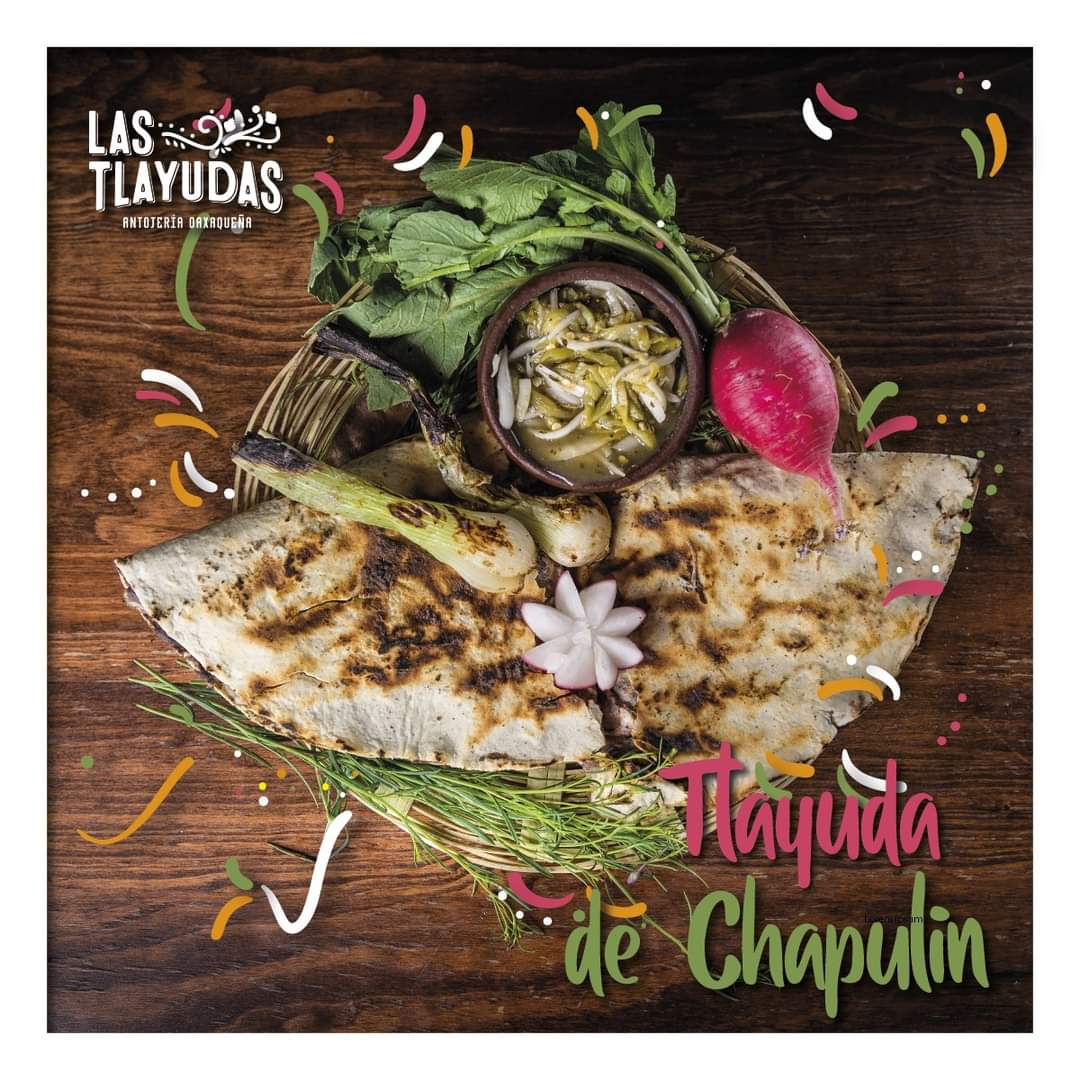 Tlayuda de chapulin