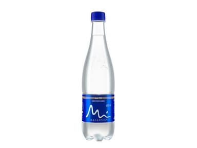 Agua Manantial 600 ml