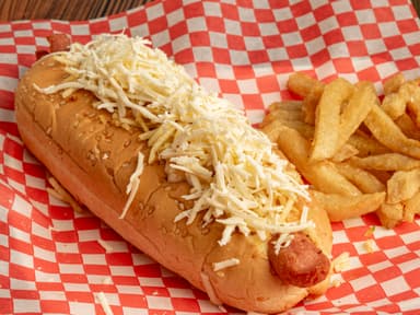 Perro SENCILLO