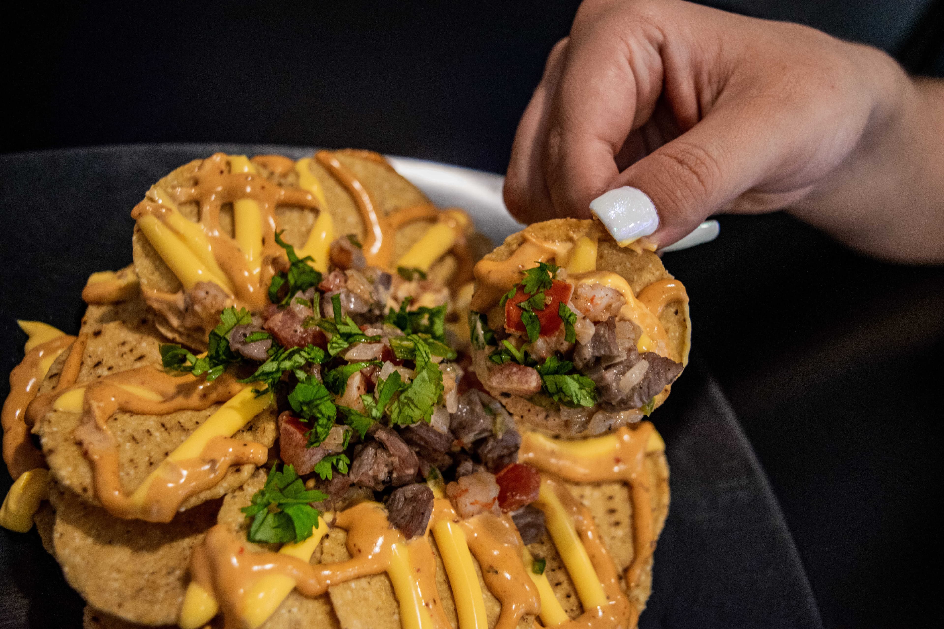 Nachos Mar y Tierra