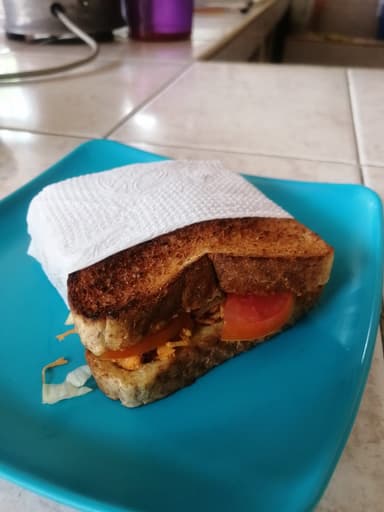 Sandwich Tradicional.
