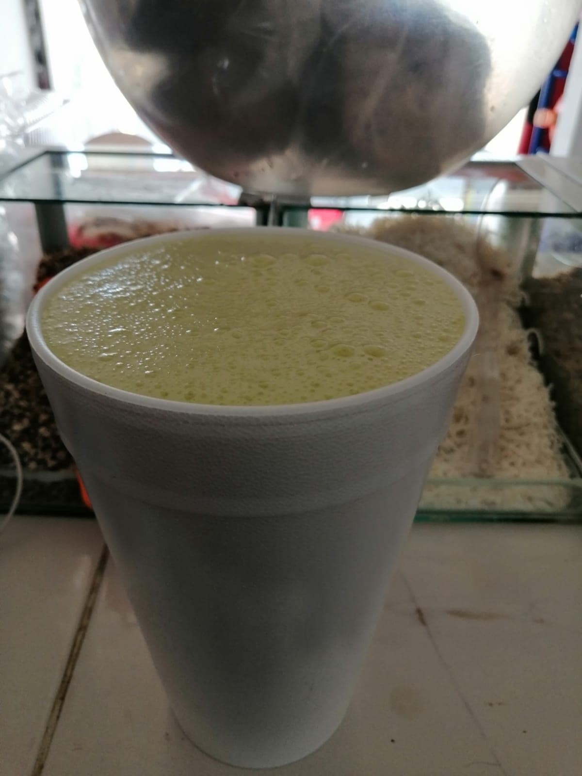 Licuado Esencial #12 Antigripal