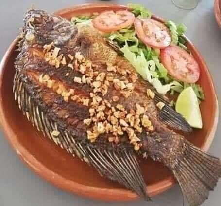 Mojarra por Orden Grande