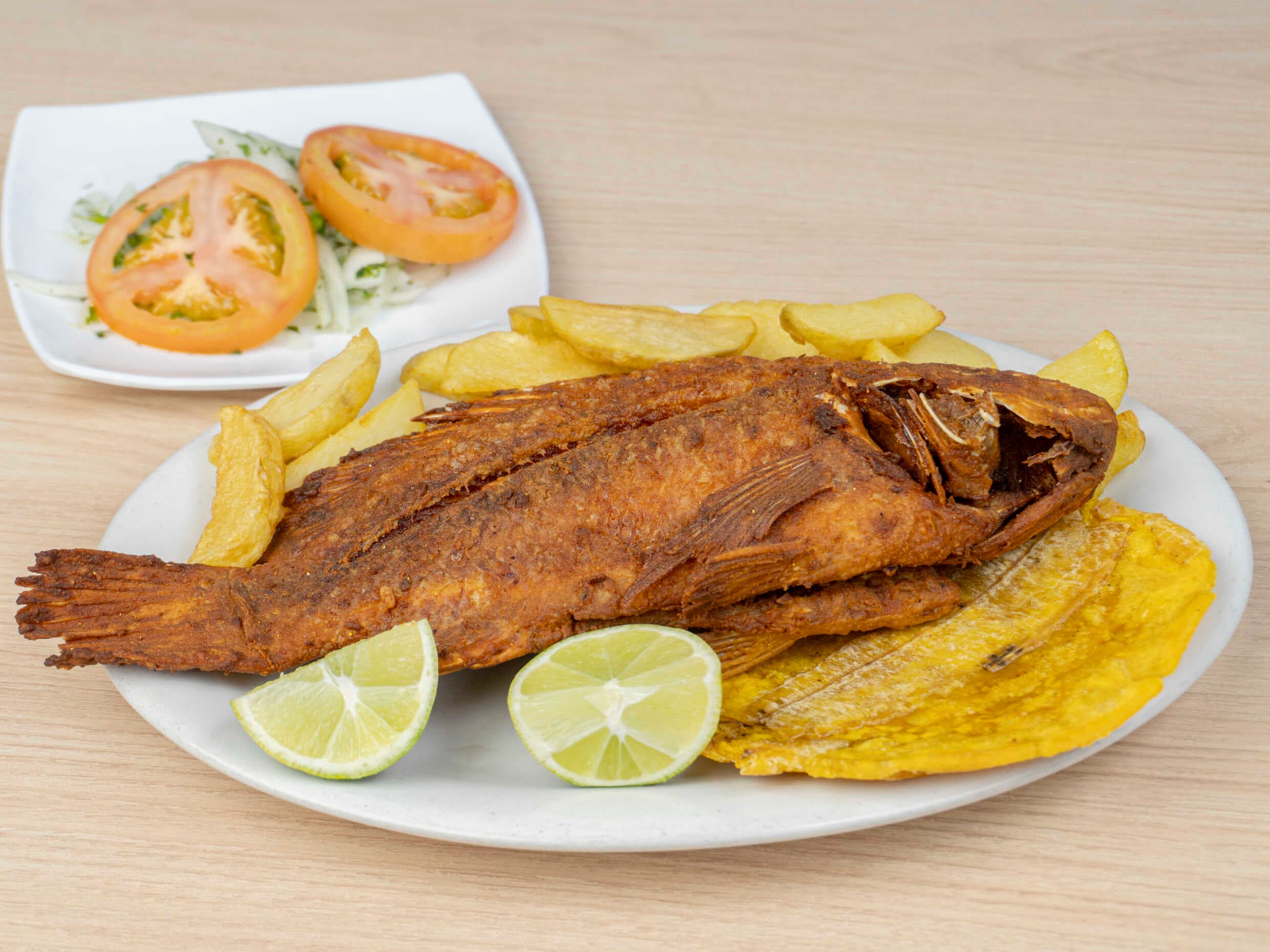 Tilapia