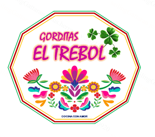 Burrito de Discada