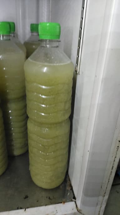 Agua de Guayaba con hierbabuena 1L