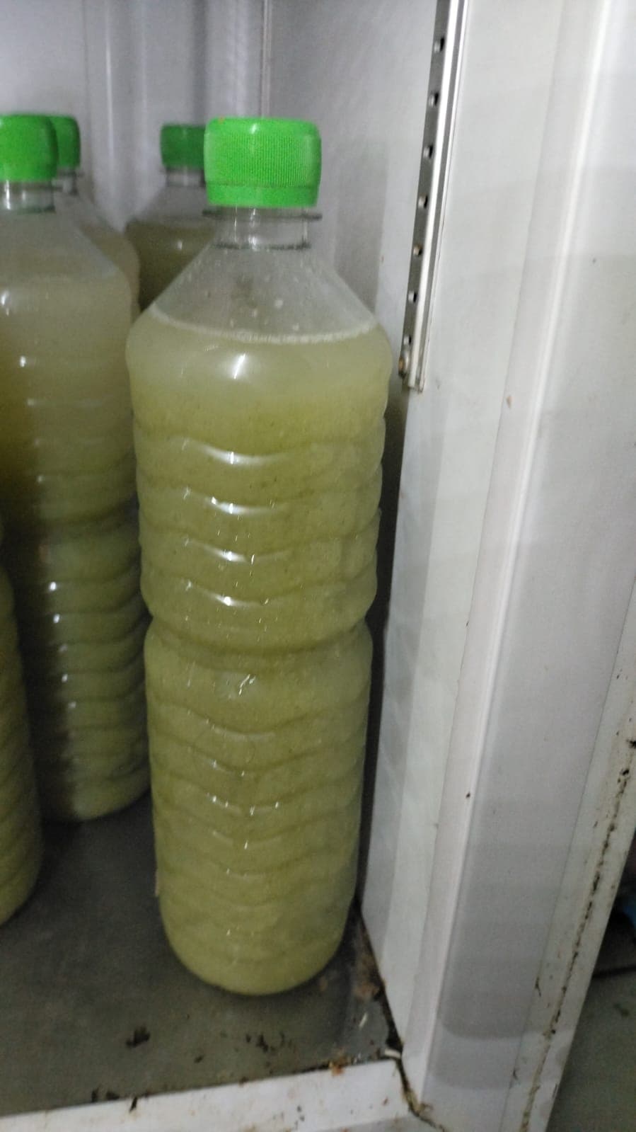 Agua de Guayaba con hierbabuena 1L