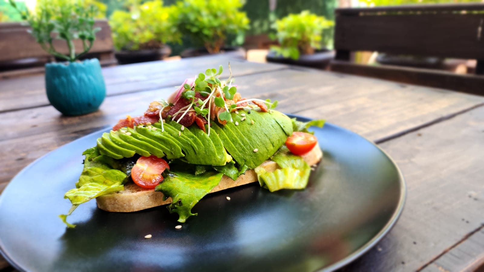 Sandwich Avocado Toast