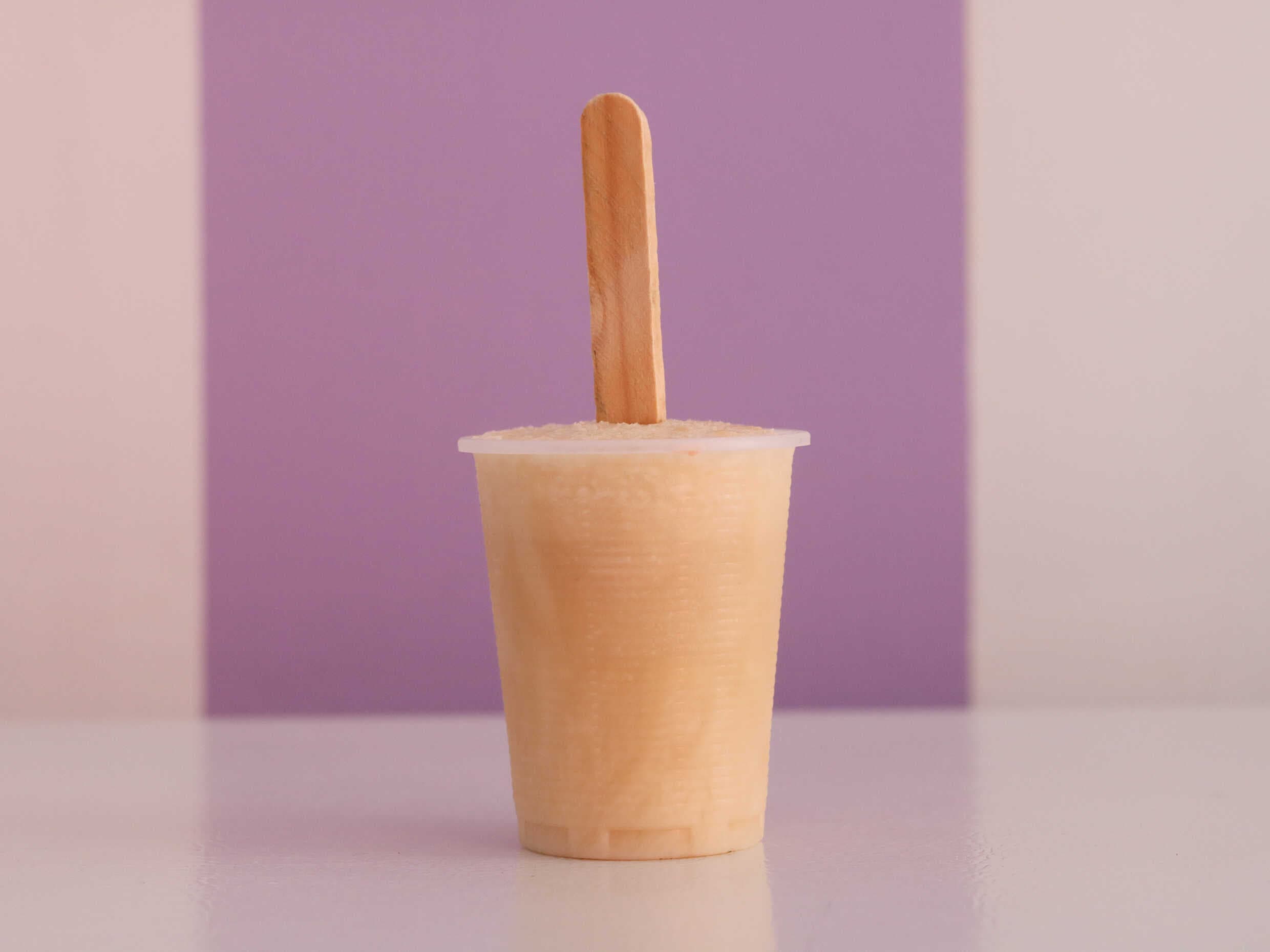 Paleta de Leche de Coco