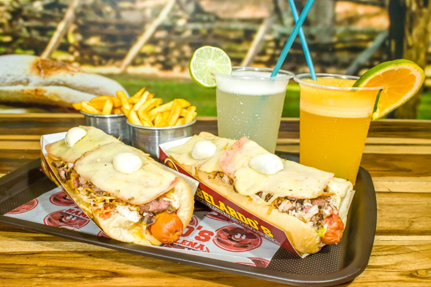 Perro Mixto