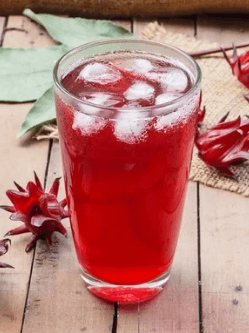 Agua de Jamaica 500 Ml