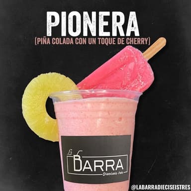 Pionera 1 L