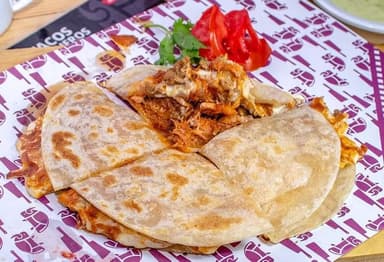 Panchera