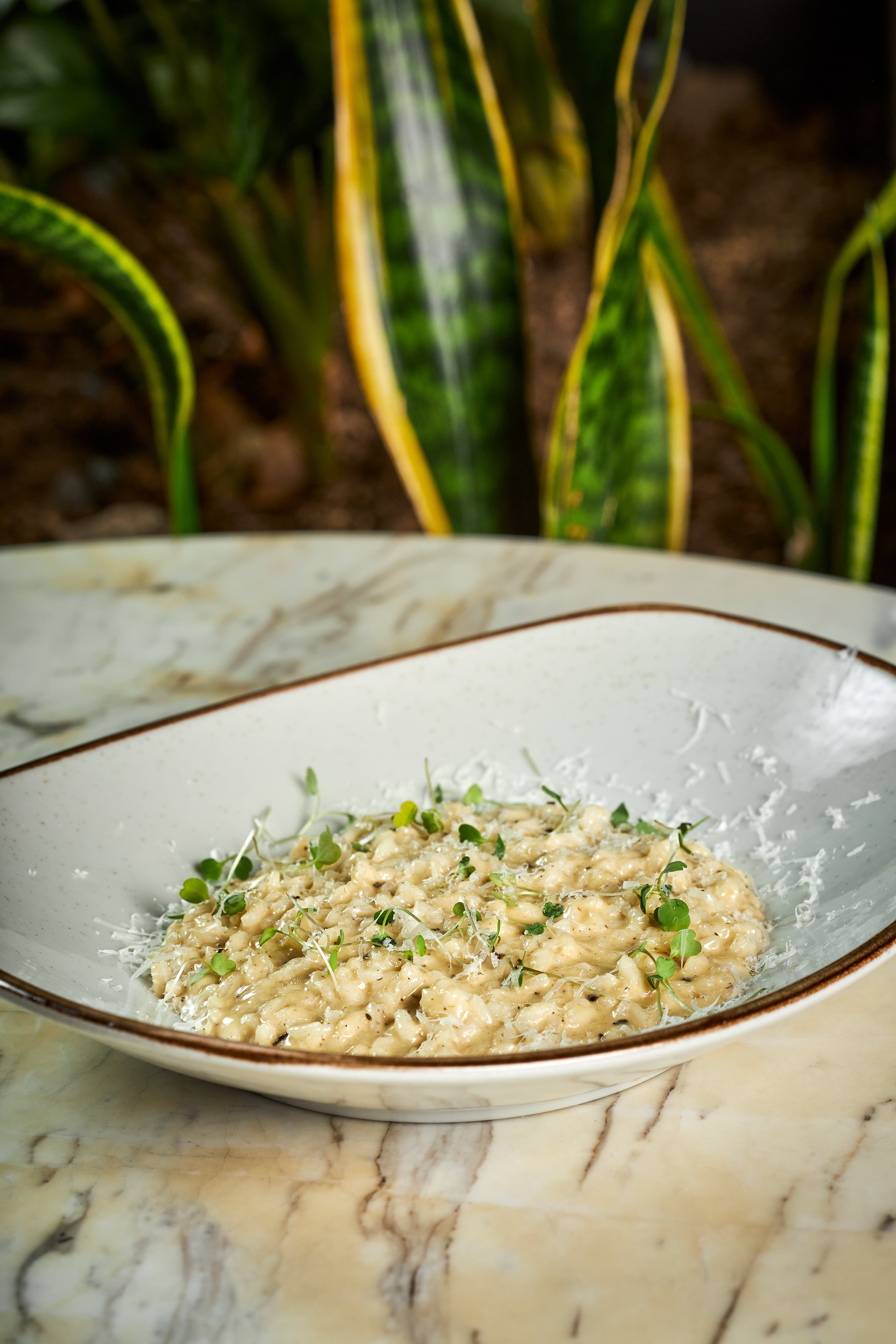 Risotto Trufado