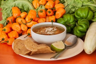 Caldo Sencillo De Pavo
