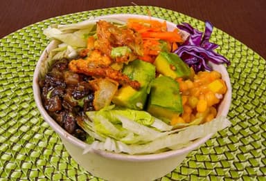 Bowl Shakira Vegetariano Promo