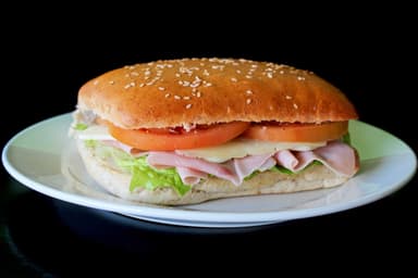 Panini Americano