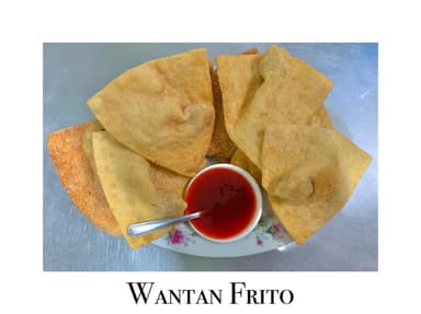 Wantan Frito con Pollo