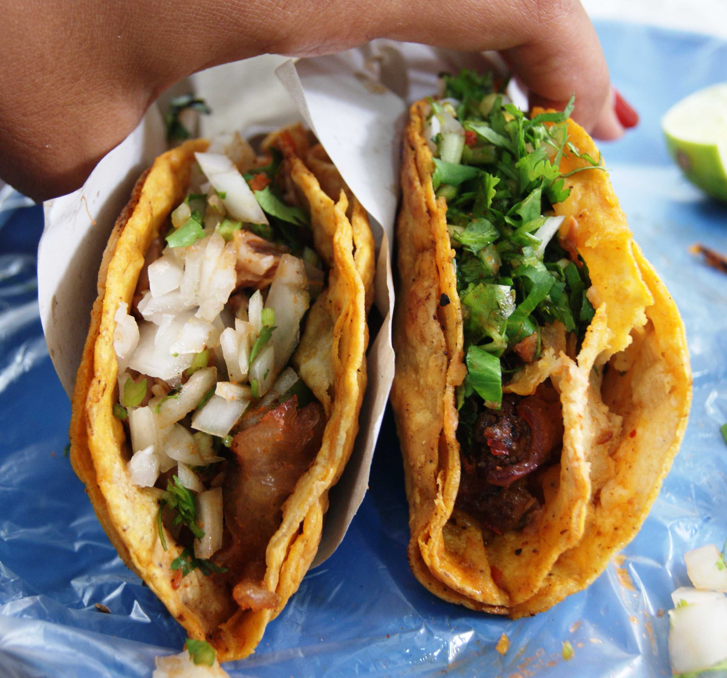 Taco dorado de birria