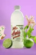 Limonada Reca Litro