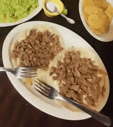Gringa de Res