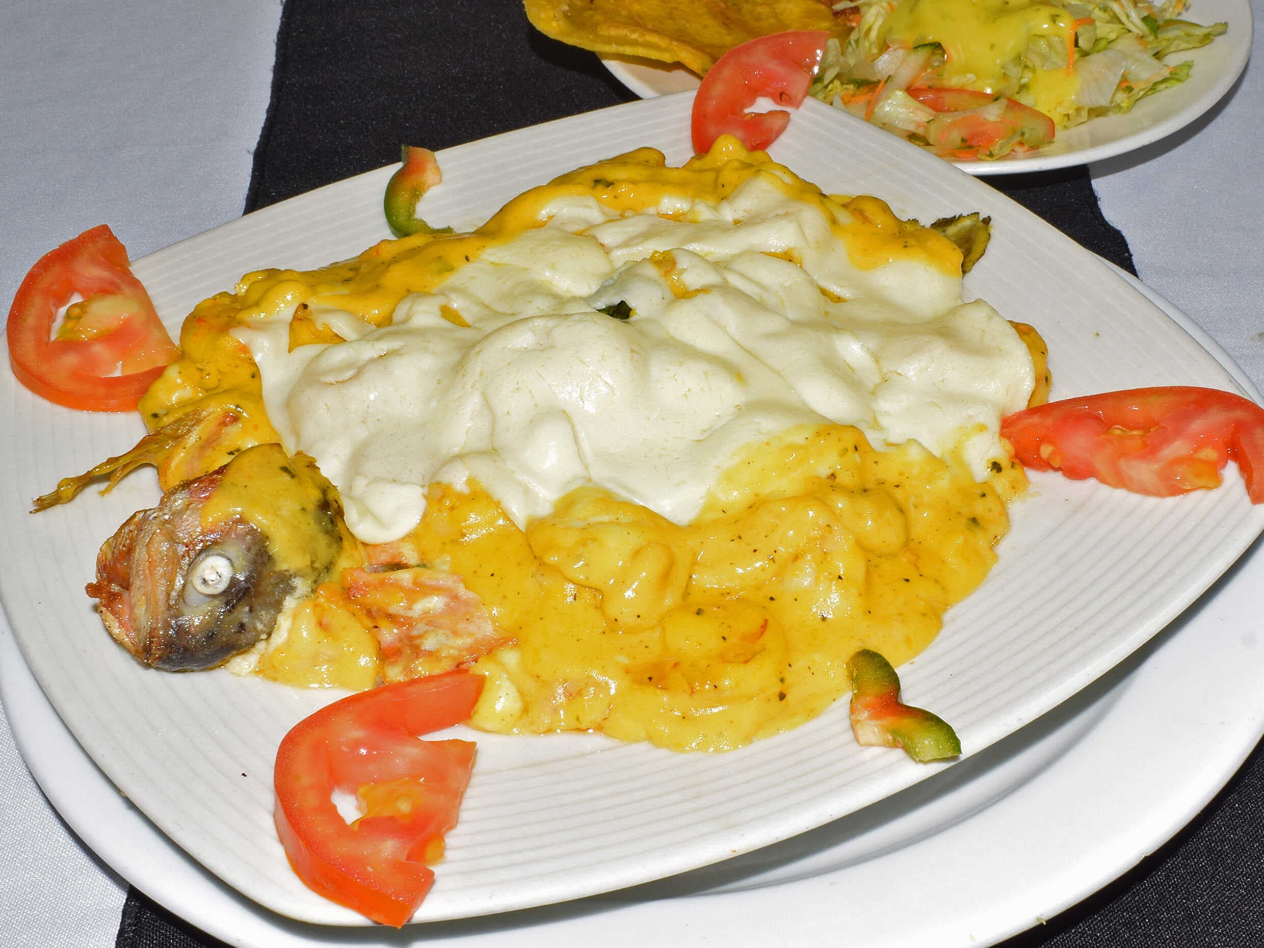 Trucha Gratinada
