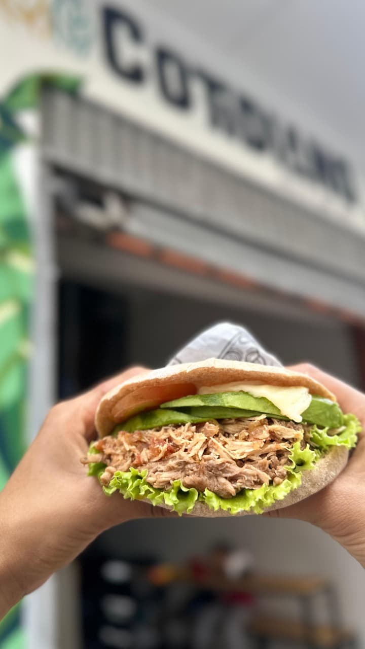 Wrap Pollo