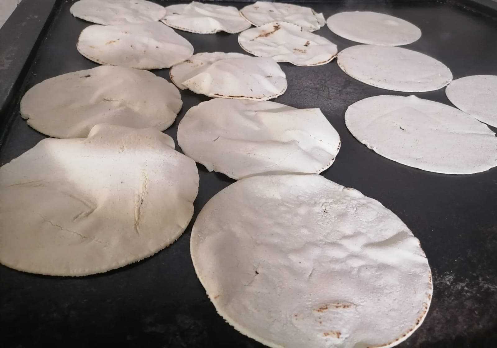 Tortilla extra