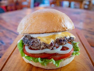 Single Cheeseburger