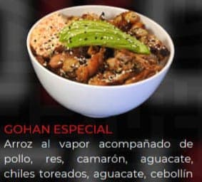 Arroz Gohan Especial