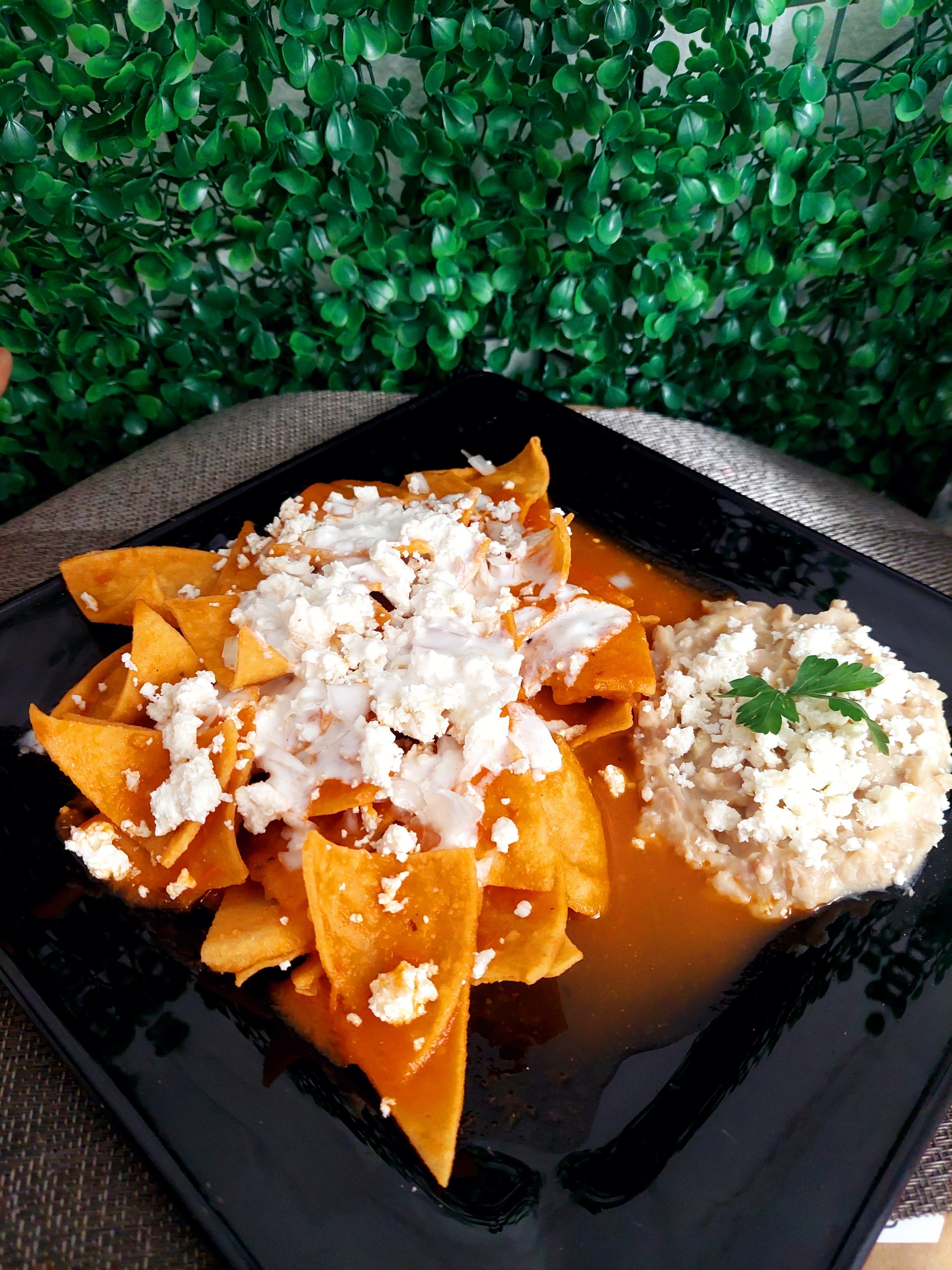 Chilaquiles Naturales + Jugo Natural