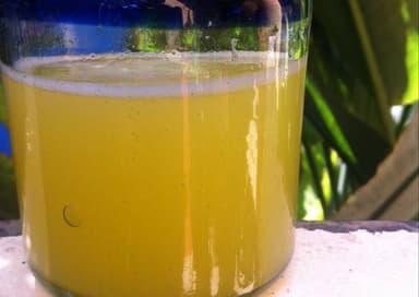 Agua de Naranjita