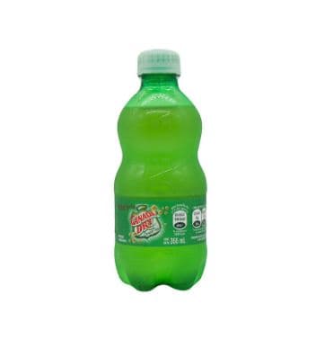 Ginger Ale 355 ml