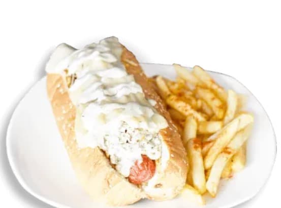 Perro Mixto