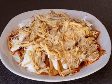 Pollo