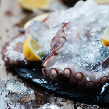 Mixto de Pulpo