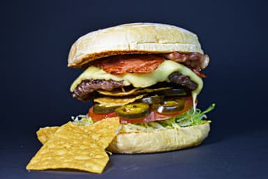 Hamburguesa Mexicana