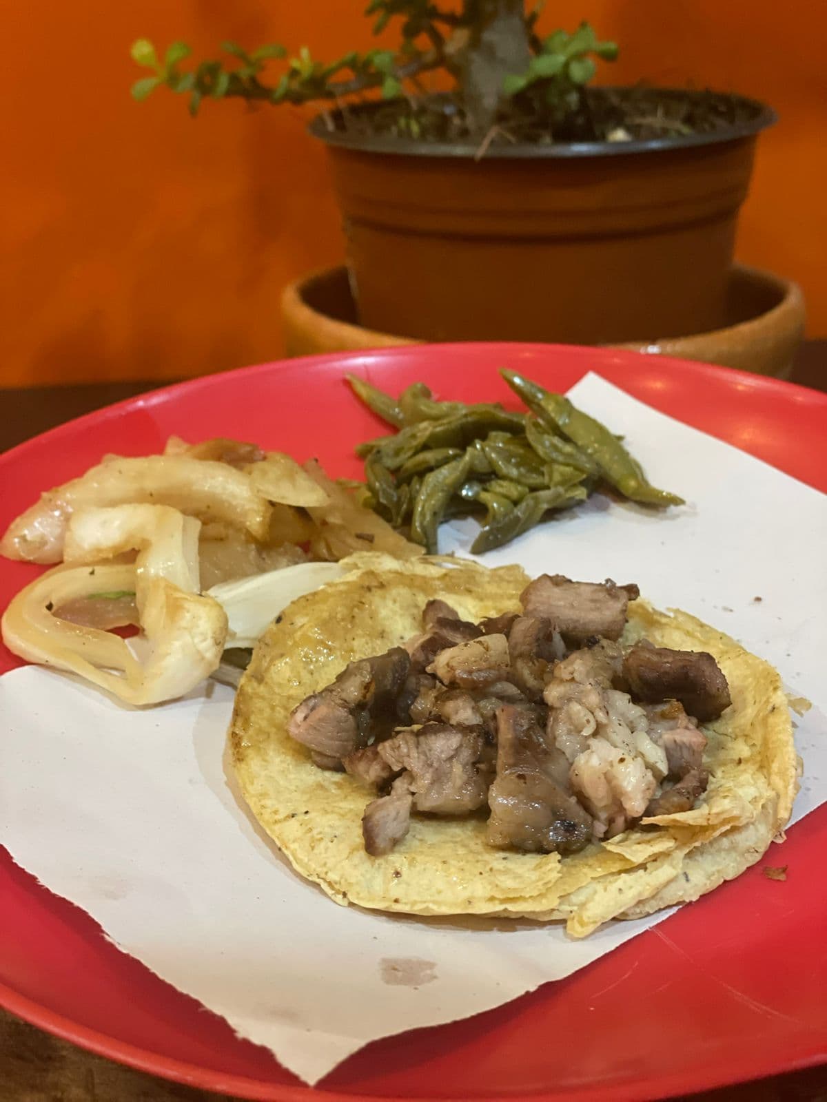 Orden de Suadero