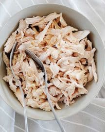 Pollo