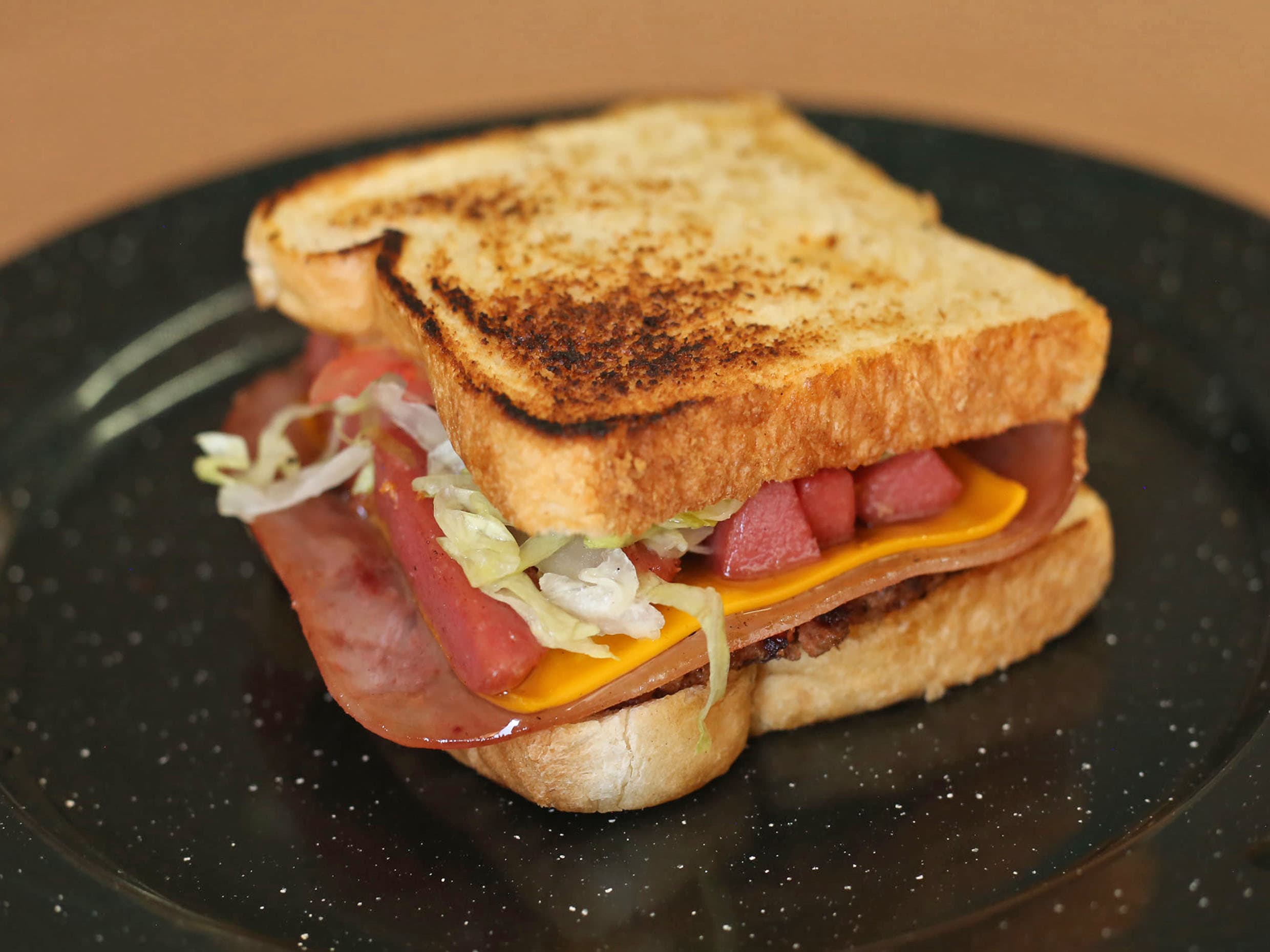 Sándwich Especial