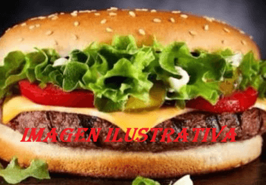 Hamburguesa clásica de arrachera sin papas