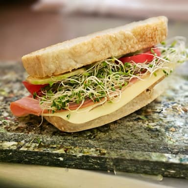 Sándwich Jamón con Queso