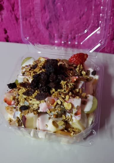 Biónico