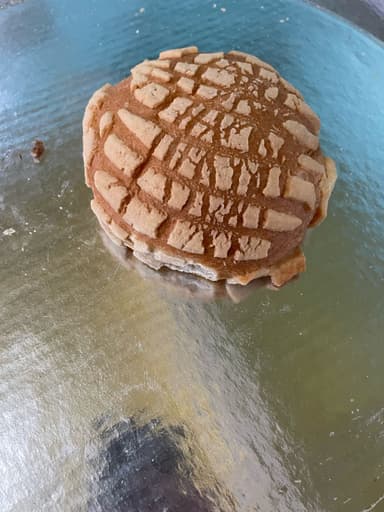 Concha de Vainilla