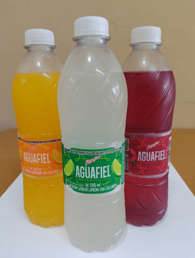 Agua de Jamaica 500 ml
