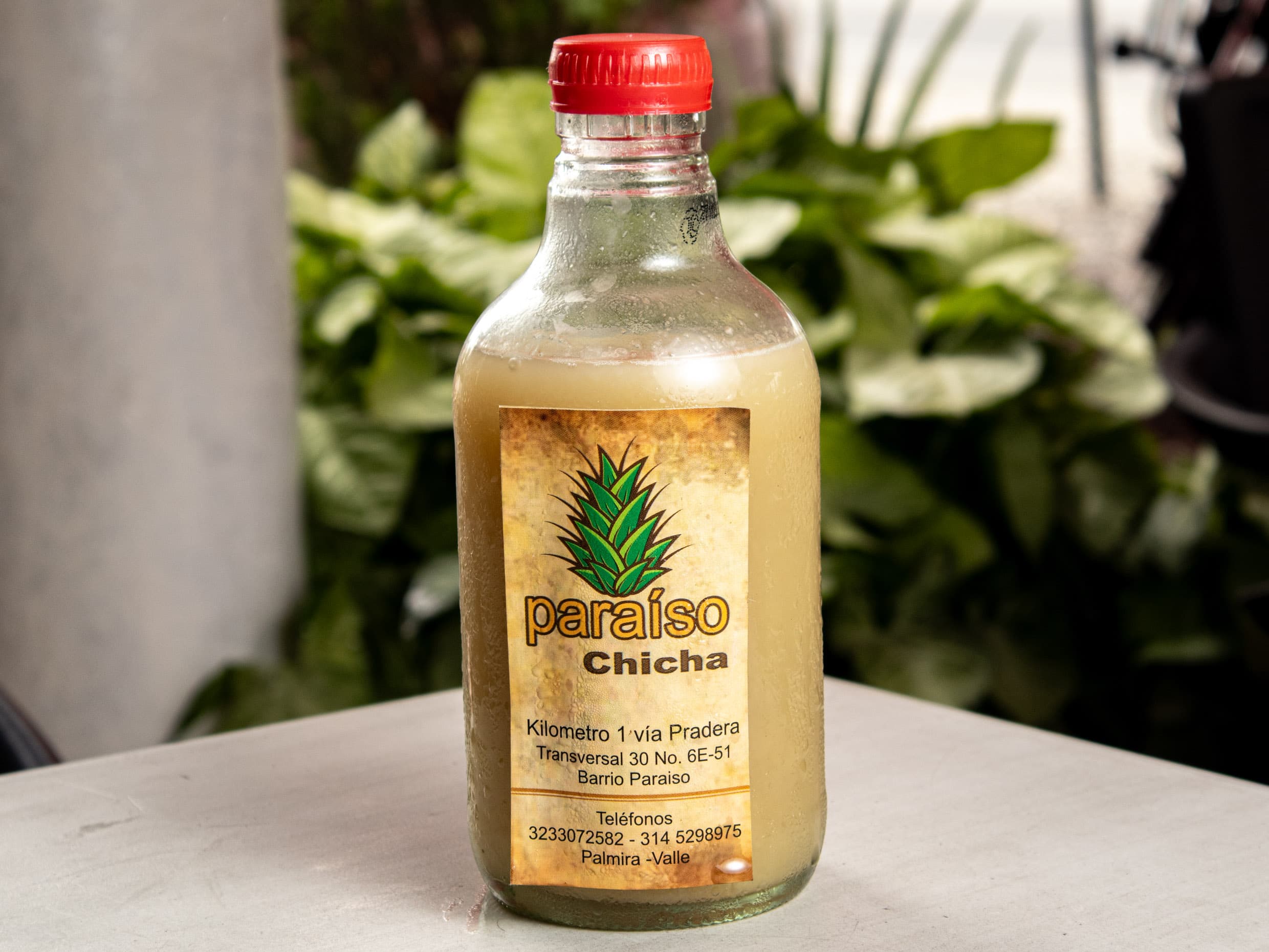 Chicha presentación 373 ml