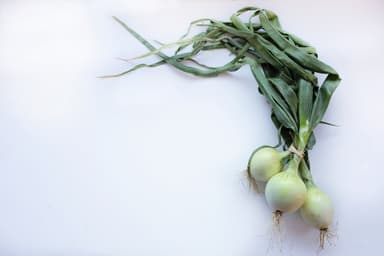 Cebollitas